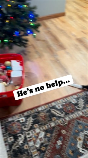 It’s starting… #ChristmasTree #Movies #SantaClause #Memories #beaglesofinstagram | Emmalee Kay | Facebook