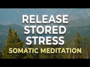 Release Stored Stress in Your Body | Somatic Meditation for Emotional & Physical Tension Relief