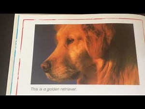 Animals: Dog, Baby Einstein, Let’s Explore