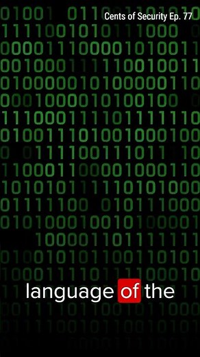 Breaking Barriers: How AI is Empowering Non-Coders #ai #finance