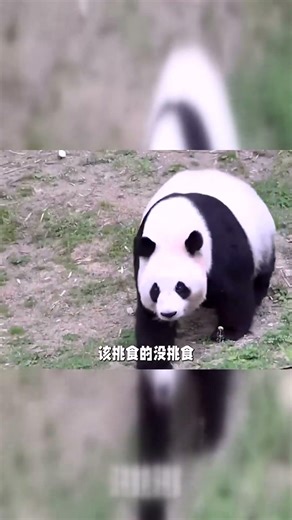 宝家的姨姨们都知道的秘密