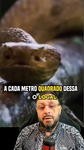 175K views · 1.9K reactions | O local mais perigoso do mundo? ilha da Queimada Grande? Jararaca Ilhoa? #animais #faunasilvestre #ilhadascobras #jararacailhoa #BothropsInsularis | Biólogo Henrique o Biólogo das Cobras | Facebook