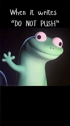 Don't push = PUSH! 🦎 #hopper #tomthehopperlizard #lizard #happy #meme #memes #tommeme