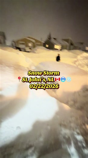 Snow Storm in St. John’s, NL 🇨🇦🥶 02/22/2026