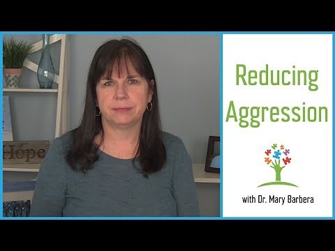 Handling Aggressive Behavior in Children with Autism