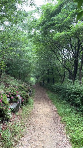 10초의 여유, 비오는 날에 걷고 싶은 길