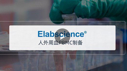 Elabscience_人外周血PBMC制备常规操作流程