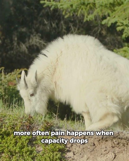 Don't make age the scapegoat