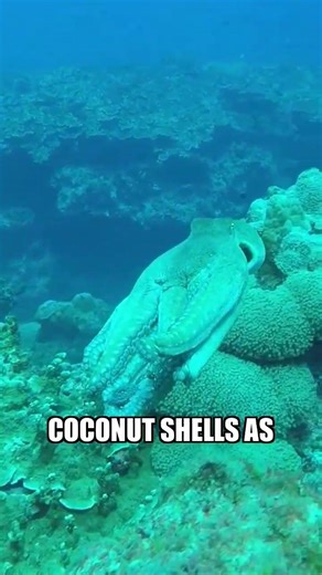 5 Bizarre Animal Behaviors That Will Shock You! #shorts