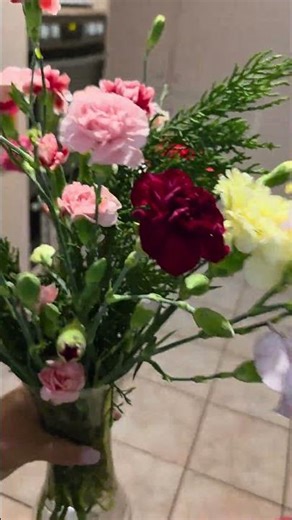 The vibrant colours of carnation flowers 🌸🌈 #flowers #colours #carnation