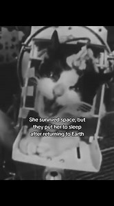 Félicette: The Cat Who Went to Space and Returned Alive