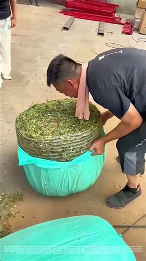 Cutting the Wrap: A Farmer Frees Silage from Plastic and Net