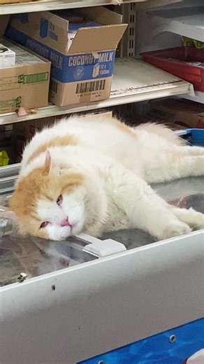 Video lama: tidur sampai juling