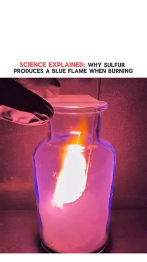Great minds🧠 on Instagram: "Sulfur is a nonmetal element that shows a clear and fascinating reaction when burned in oxygen. During combustion, sulfur produces a pale blue flame and releases sulfur dioxide gas, a key compound studied in basic chemistry. This reaction is often demonstrated in science classes to help students understand oxidation and chemical change. The color of the flame comes from the energy released as sulfur atoms react with oxygen molecules. Simple yet powerful, this experim