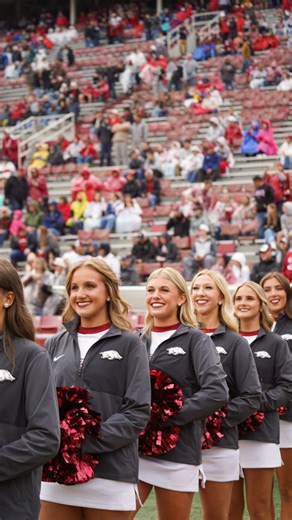 Razorback Dance Team on Instagram: "Celebrating the women who continue to shape this program through hard work and dedication. 🐗 #womeninsportsday"