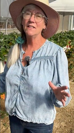 Help! Katy’s Drowning in Strawberries! 🍓😅