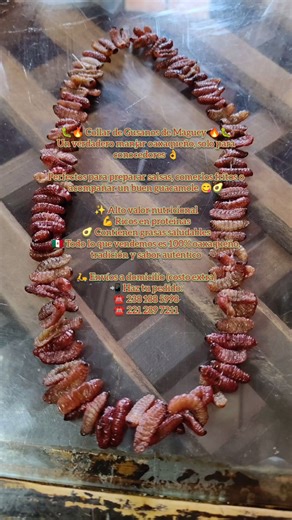 Videos de Monchiis (@monchiss.89) con “Rancheras Mexicanas en Requinto - Pablo Paz Requinto”