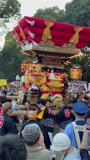 三木大宮秋祭り2026 本宮 明石町宮入り #三木秋祭り #祭り #明石町 #三木市