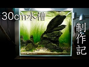 水草レイアウトの世界大会入選者が30cmキューブ水槽立ち上げてみた【アクアリウム】