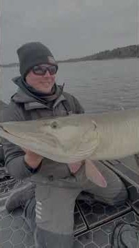 Top NEW BAITS of 2025! #musky #muskyfishing #fishing