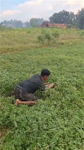 very exciting capture#viralshorts