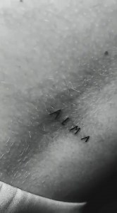 9.6K views · 52 reactions | Gaia Gozzi on Reels | Facebook