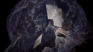 CAN Geometry Textures Shaders