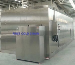 [Hot Item] Blast IQF Fluidized Quick Freezer/Individual IQF Flow Freezing