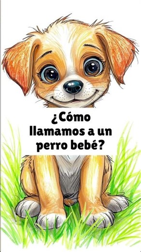 Animales y Seres Vivos – Video Corto de Preguntas y Respuestas para Niños #kidslearningvideos