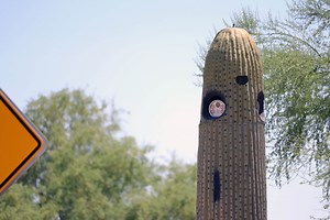 Arizona police agencies gather & share license plate data, but few ensure rules are being followed