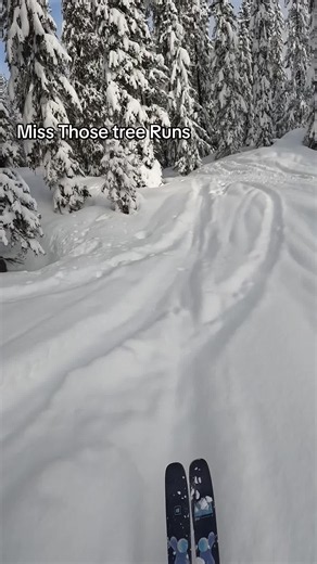 #ski #winter #fypp | Ski
