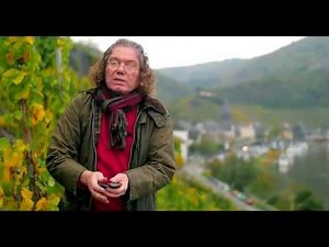 Tour Bernkasteler Lay Vineyard with Ernst Loosen