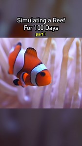 558K views · 13K reactions | Simulating a Coral Reef  pt1 #ecosystem #bugs #wildlife #nature #plants #earth #pets #petsofinstagram #aquarium #coral #reef #coralreef | Dr. Plants | Facebook