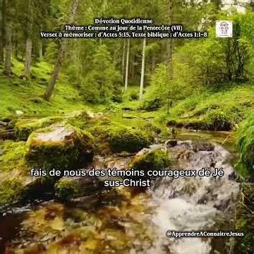 Une Prière pour Marcher dans la Puissance du Saint-Esprit — Que Ton Ombre Guérisse les Malades #foi