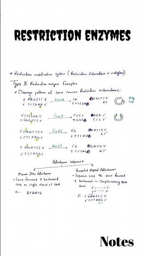 Restriction Enzymes | Restriction Endonuclease | Restriction Enzymes class 12 | Biotechnology CSIR