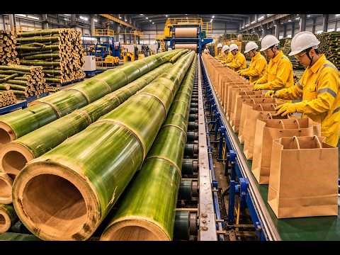 How Bamboo Turns Into Paper Bags Inside the Factory Process