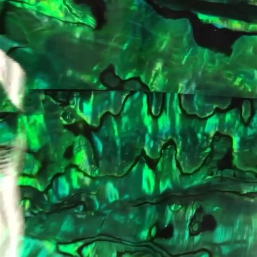 Find ever pearl shell, every tone and every design of original Thin Lam Tm pearl shell inlays : overlays to award winning deep sea trolling lure pearl inserts that’s helped hundreds take home to dallor wins for over 27 years! Welcome to the source at www.aquabluemaui.com/ for orders see aquablue@maui.net/ ph 1-808-876-0217. Made in Hawaii, USA. Thank you! | Aqua Blue Maui LLC