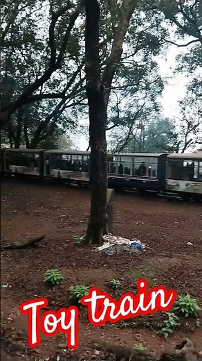 toy train #matheran