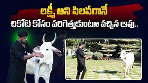 10K views · 188 reactions | Mini Zoo In Chikoti Praveen Kumar Farm House | Chikoti Praveen Kumar Interview | Sumantv #MiniZoo #ChikotiPraveen ##farmhouse | Sumantv Women | Facebook