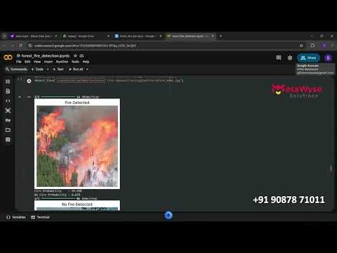 FireNet‑CNN: Real‑Time Forest Fire Detection with XAI