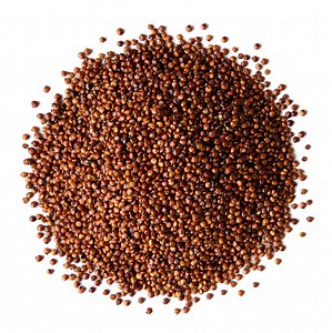 Organic Red Quinoa Buy in Bulk from Food to Live