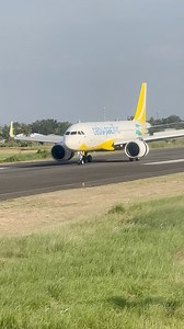 1.1K reactions · 30 shares | Landing Complete: A Gentle Deceleration of Airbus 320 Neo #cebupacific #a320 #airbus #landing #Philippines #usa #reels #reelschallenge #reelsfacebook #reelsviralシ #reelsvideo #fbrees #reelstrending #fb #fbreelsviral #fbreelsfypシ゚ #fypシ゚ #instatravel #instagood #instadaily #instagram #instareels #ads #adsonreels #fbpost #ad #fbreelsvideo #aviation #fbreels #reelsfb #fyp | Niel Argoncillo | Facebook