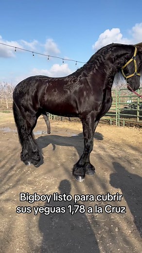 Rancho Coronado on TikTok