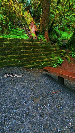 PNW Bench Bliss: Surreal Pacific Northwest Nature Spot