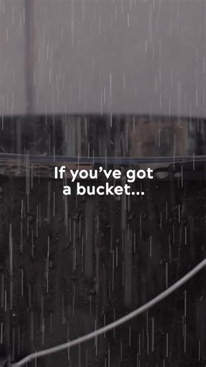 1.3K views | Catch every drop to keep your garden happy and healthy (it'll save you money too) | Anglian Water - Love Every Drop | Facebook