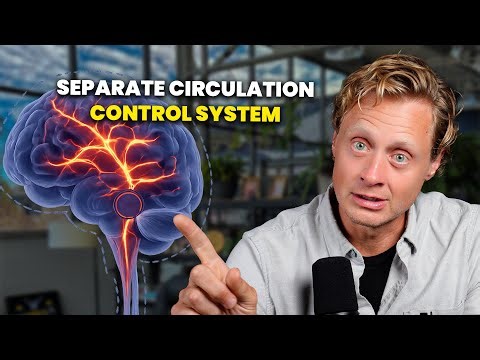 Your Brain Has a Secret Blood-Flow Control System