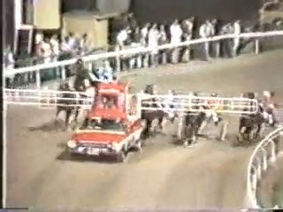 ✨Monday Miracle Moments: 1984✨ Prizemoney was increased to $130,000 for the 18th Craven Filter Miracle Mile on January 27 1984, consisting of $100,000 basic stake money plus a $5000 oil painting of the winner if he or she equalled the track record of 1.55.9. There was also an additional $10,000 for the Australian race record of 1.54.5, plus $15,000 for the winner to eclipse the Australian time trial record of 1.53.2. At that stage, all records were held by Popular Alm. Although the entire field 
