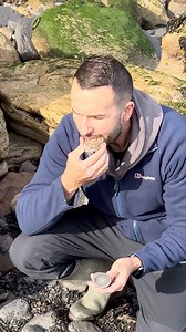 20K views · 425 reactions | Do NOT eat fossils… unless they're...