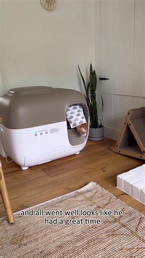 🐾Automatic cleaning — no scooping needed. ⏰Save Up To €459 — Don't Miss Out! 🎁0% APR & 30-Day Home Trial. | PetSnowy