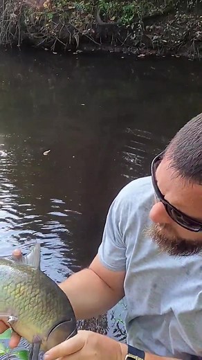 Slingshot Bow Fishing Adventures